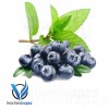 Blueberry Menthol (30ml plastic)